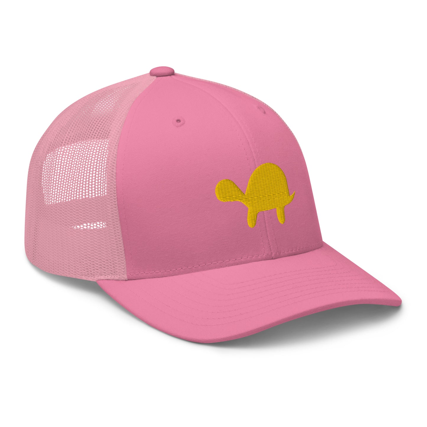 Hail To The Snapback