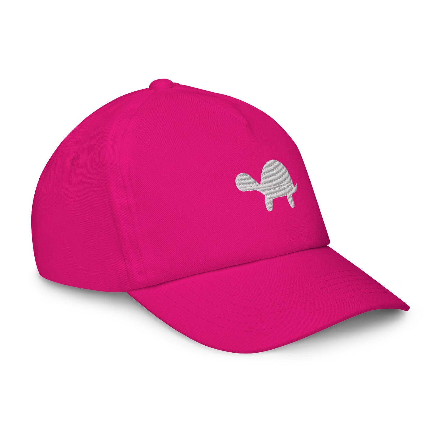 Kids Turtle Hat