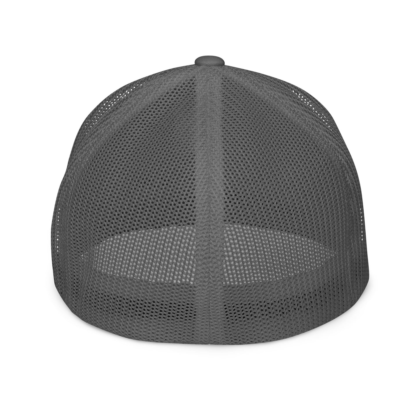 Turtle Mesh Fitted Hat