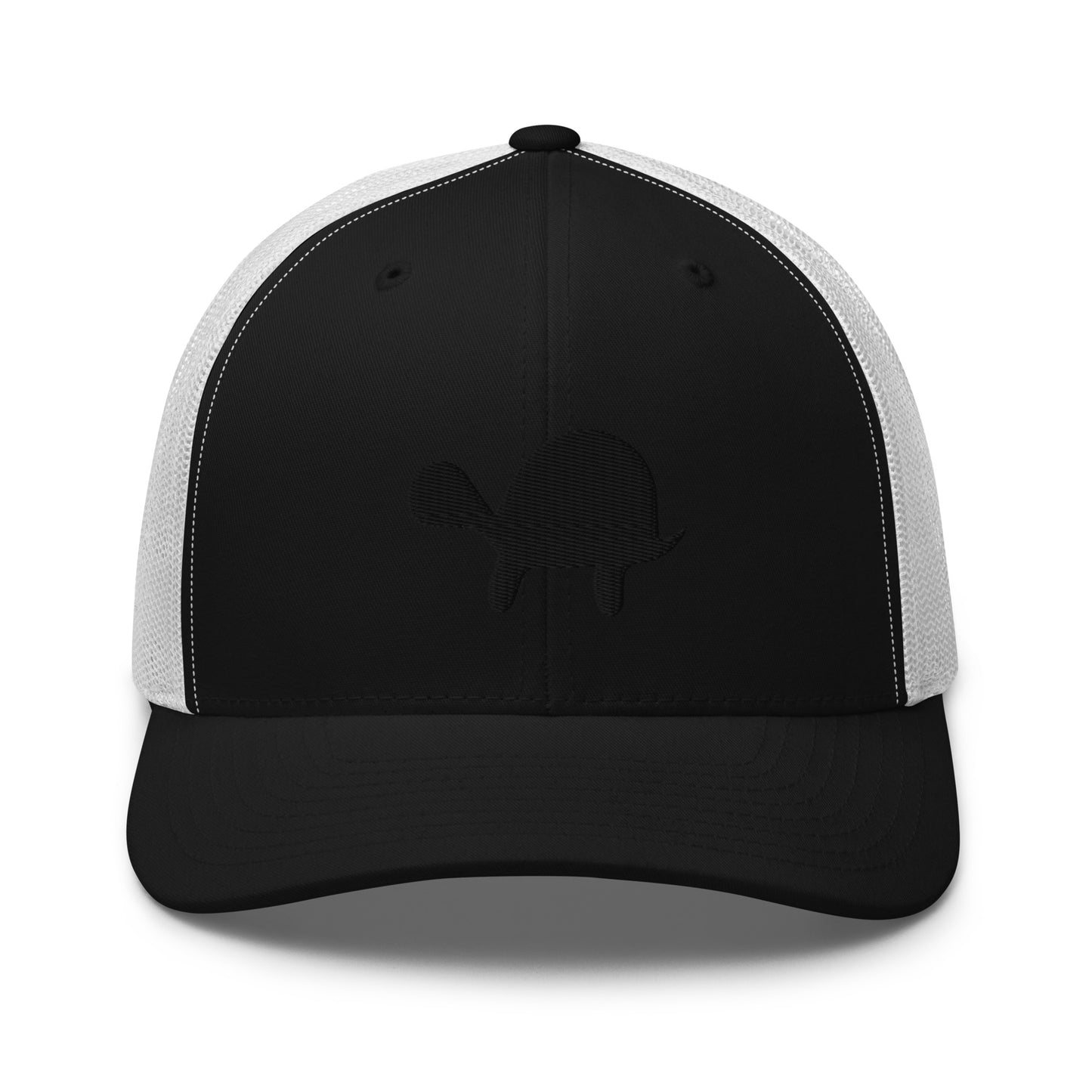 Hidden Turtle Mesh Snapback