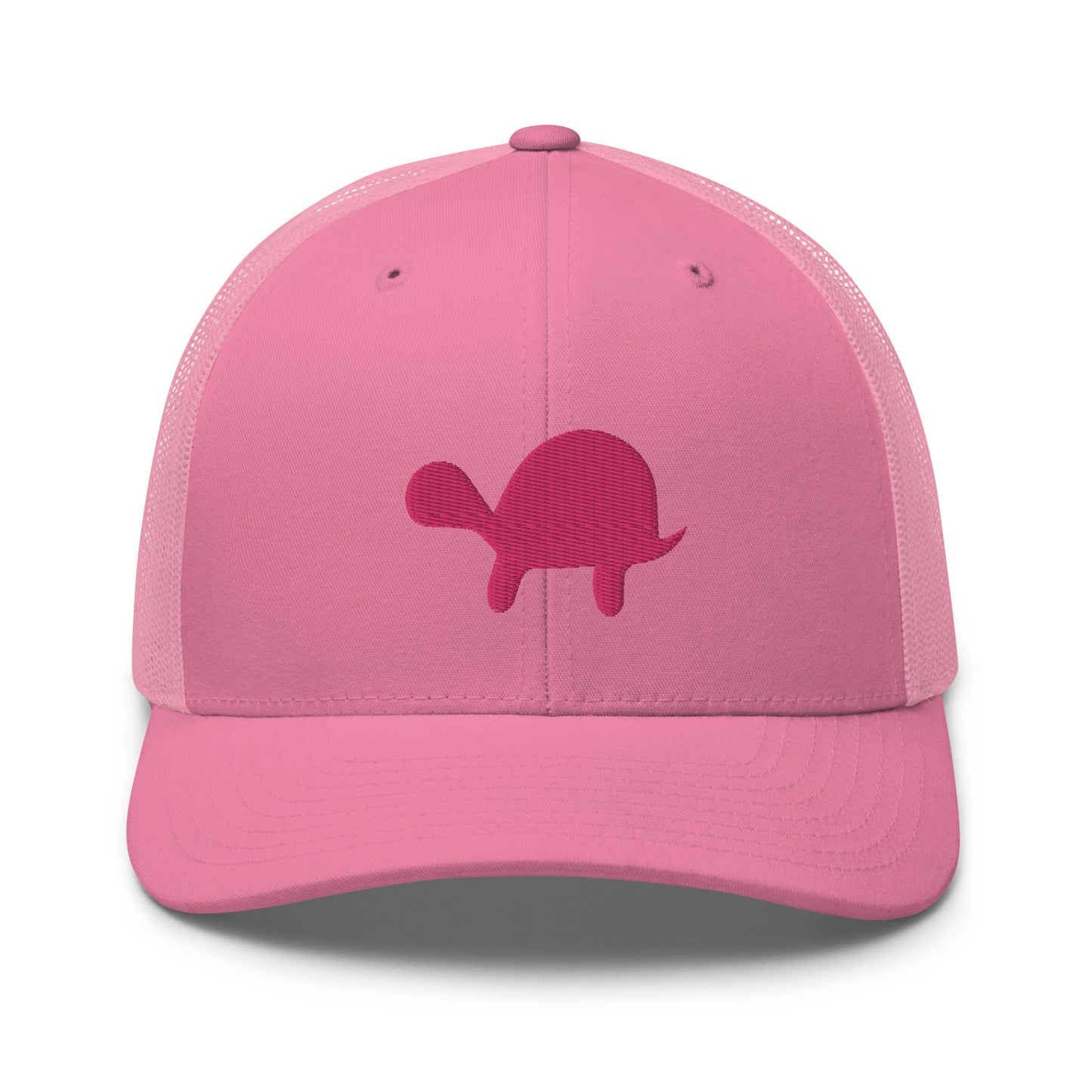 Hidden Turtle Mesh Snapback