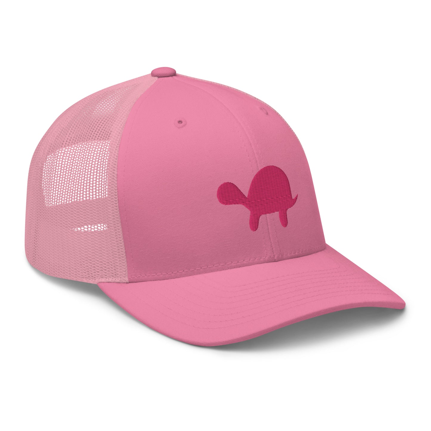 Hidden Turtle Mesh Snapback