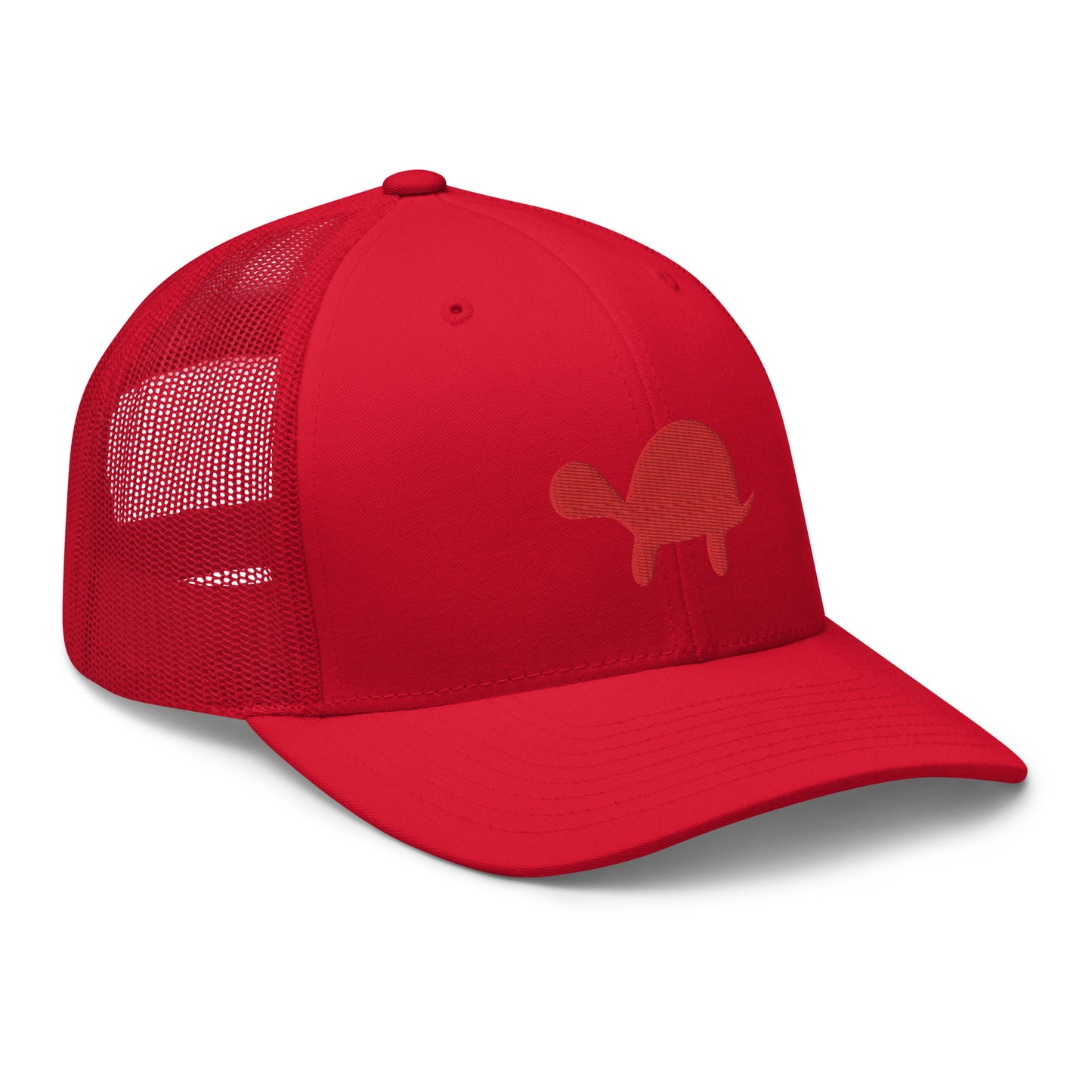 Hidden Turtle Mesh Snapback