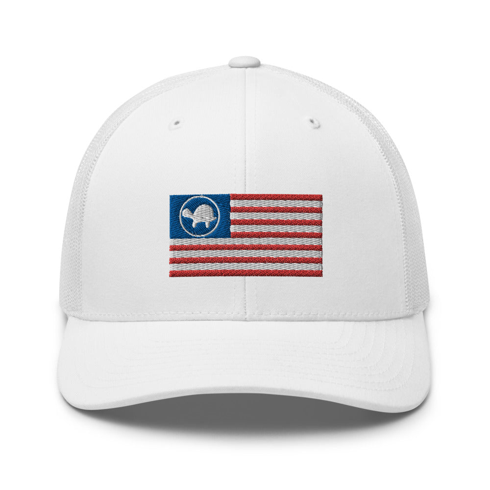USA Turtle Mesh Snapback