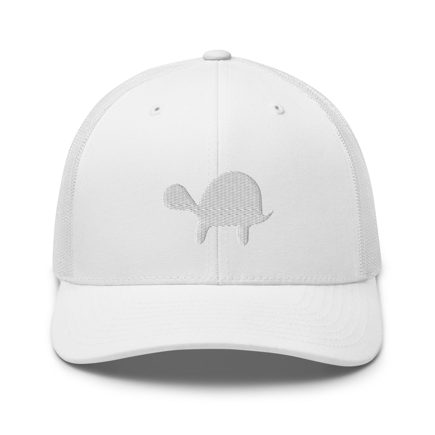 Hidden Turtle Mesh Snapback