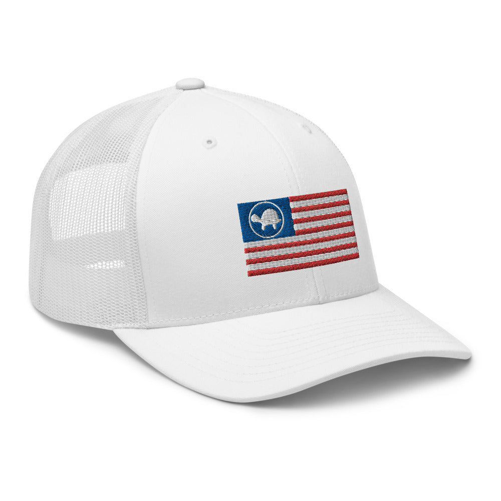 USA Turtle Mesh Snapback