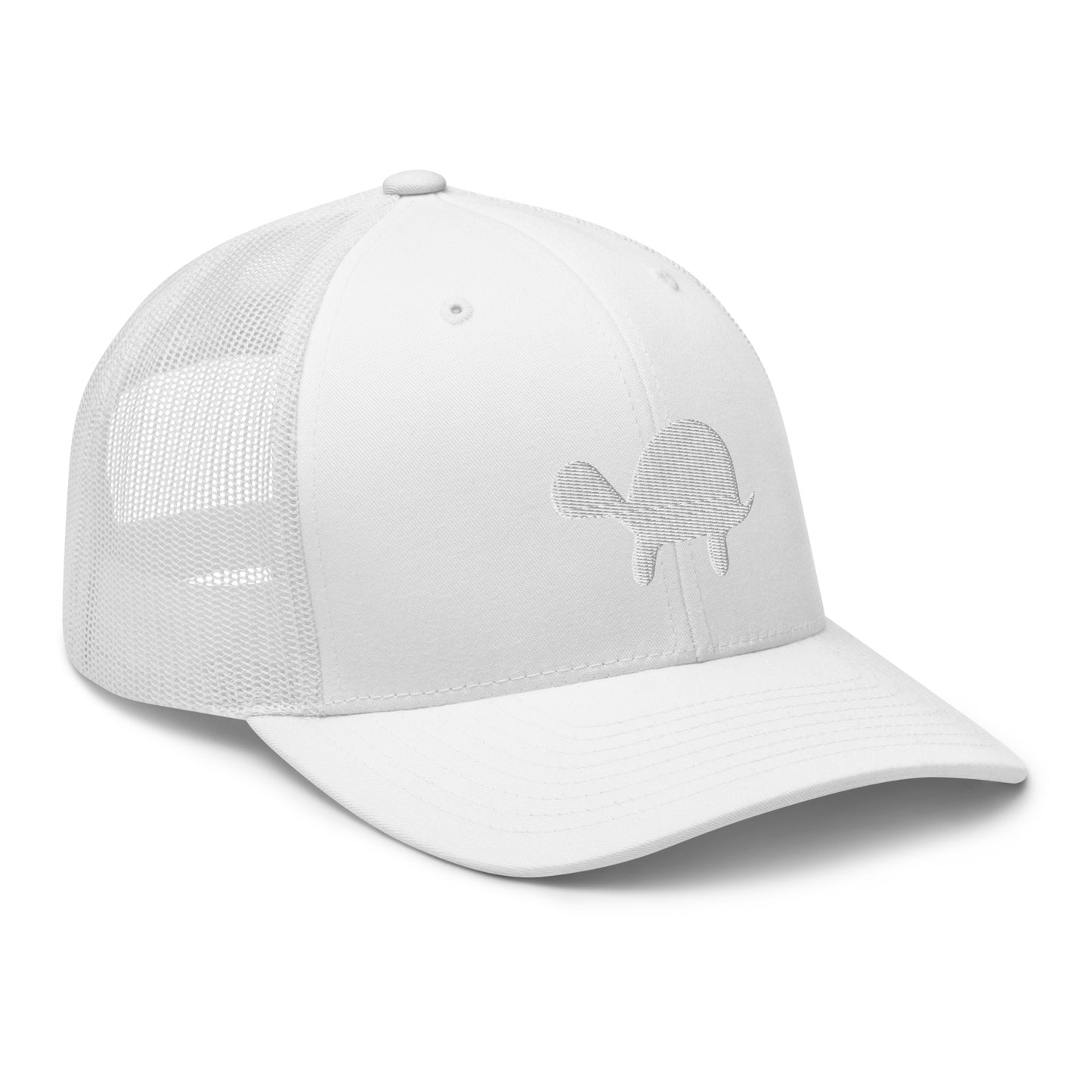 Hidden Turtle Mesh Snapback