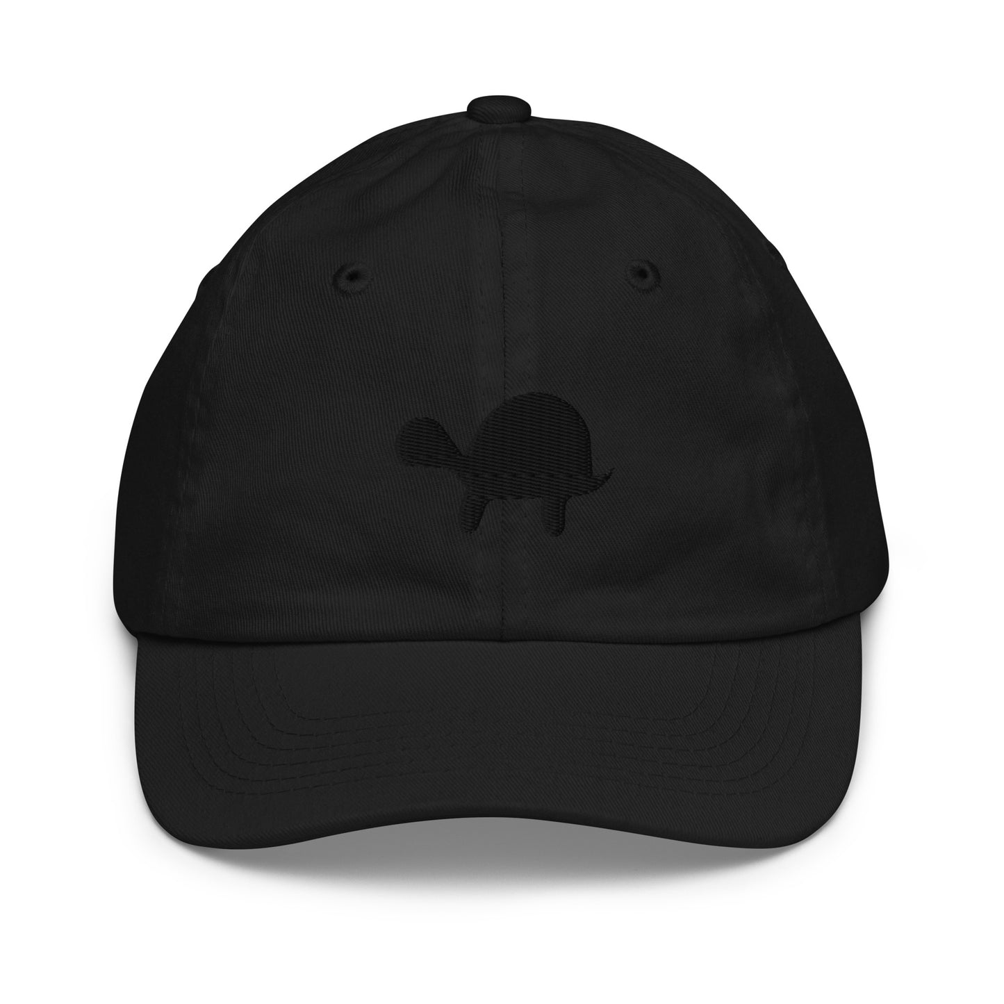 Hidden Turtle Kids Cap