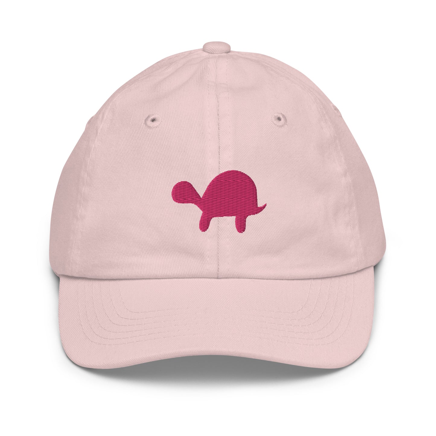 Hidden Turtle Kids Cap
