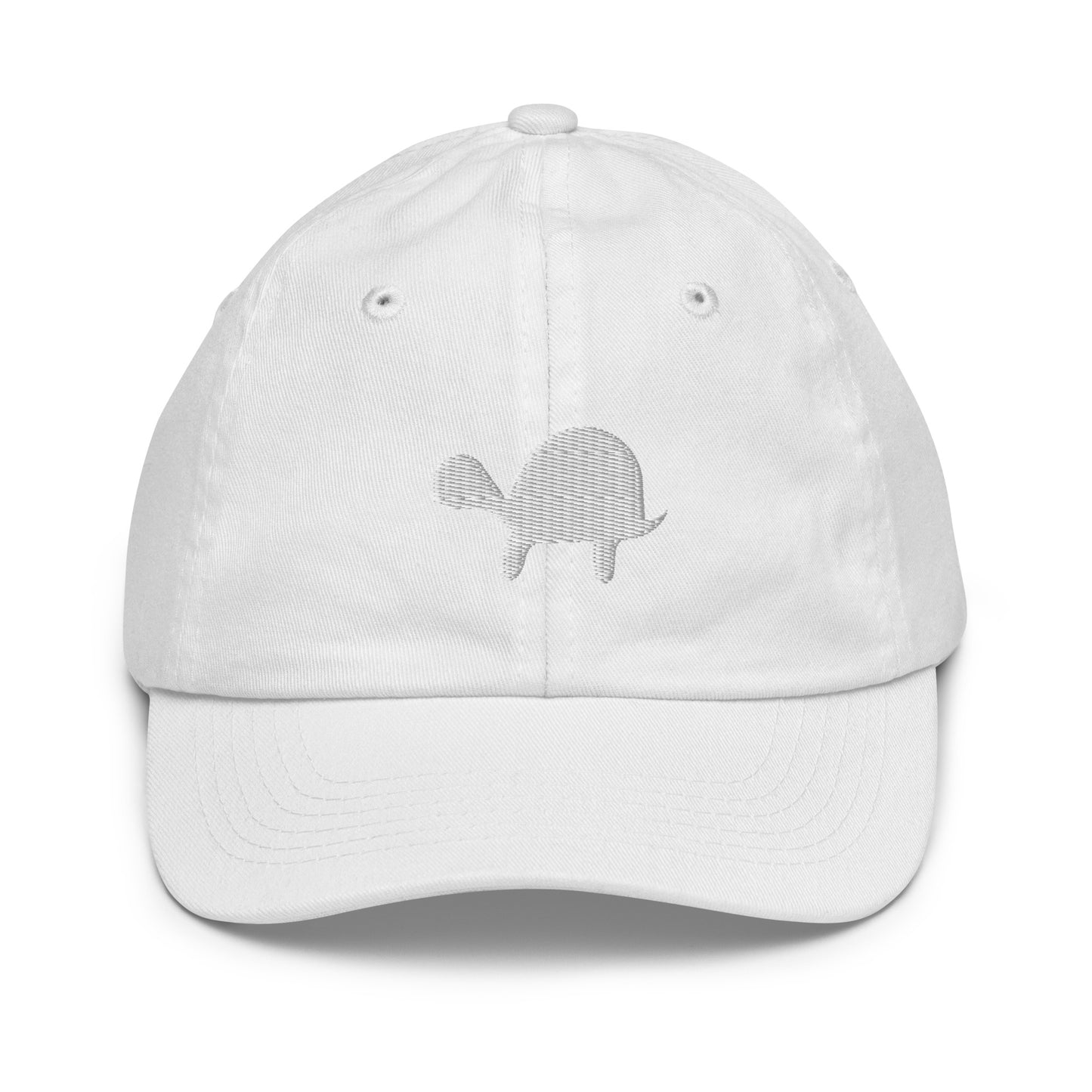 Hidden Turtle Kids Cap