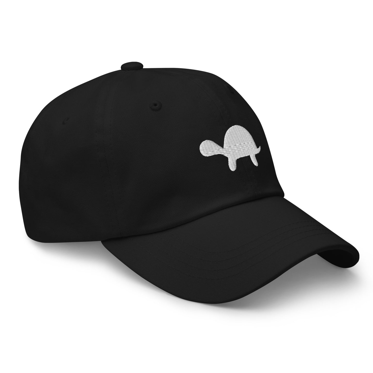 Turtle Cap