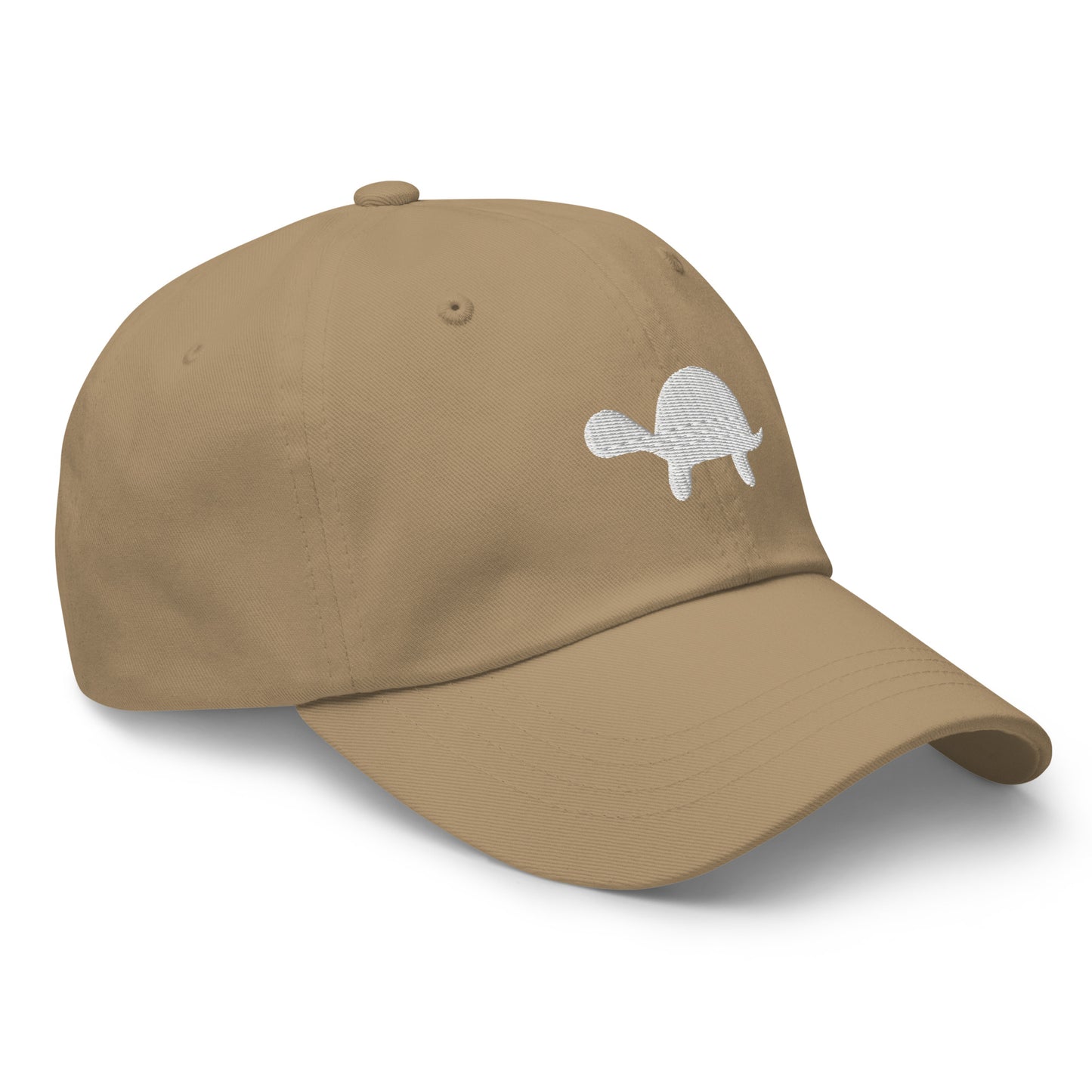Turtle Cap