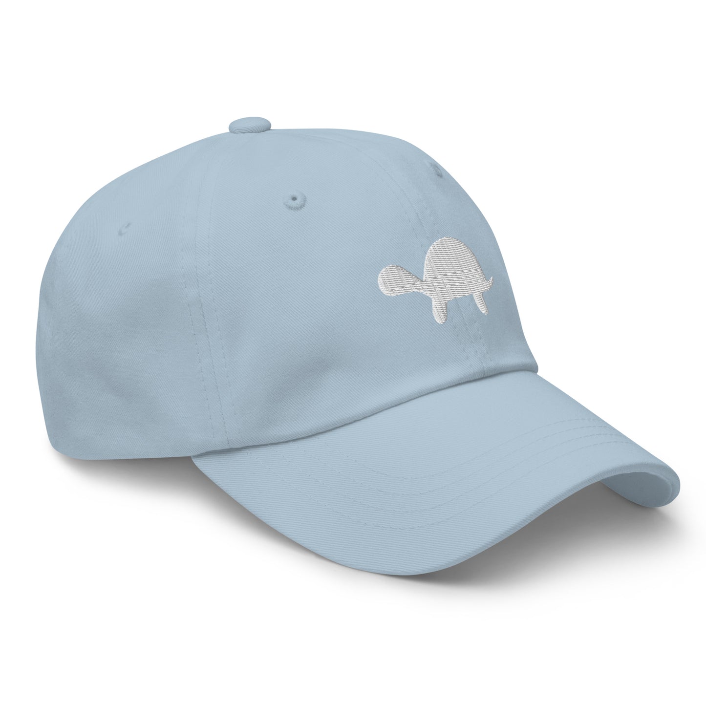 Turtle Cap