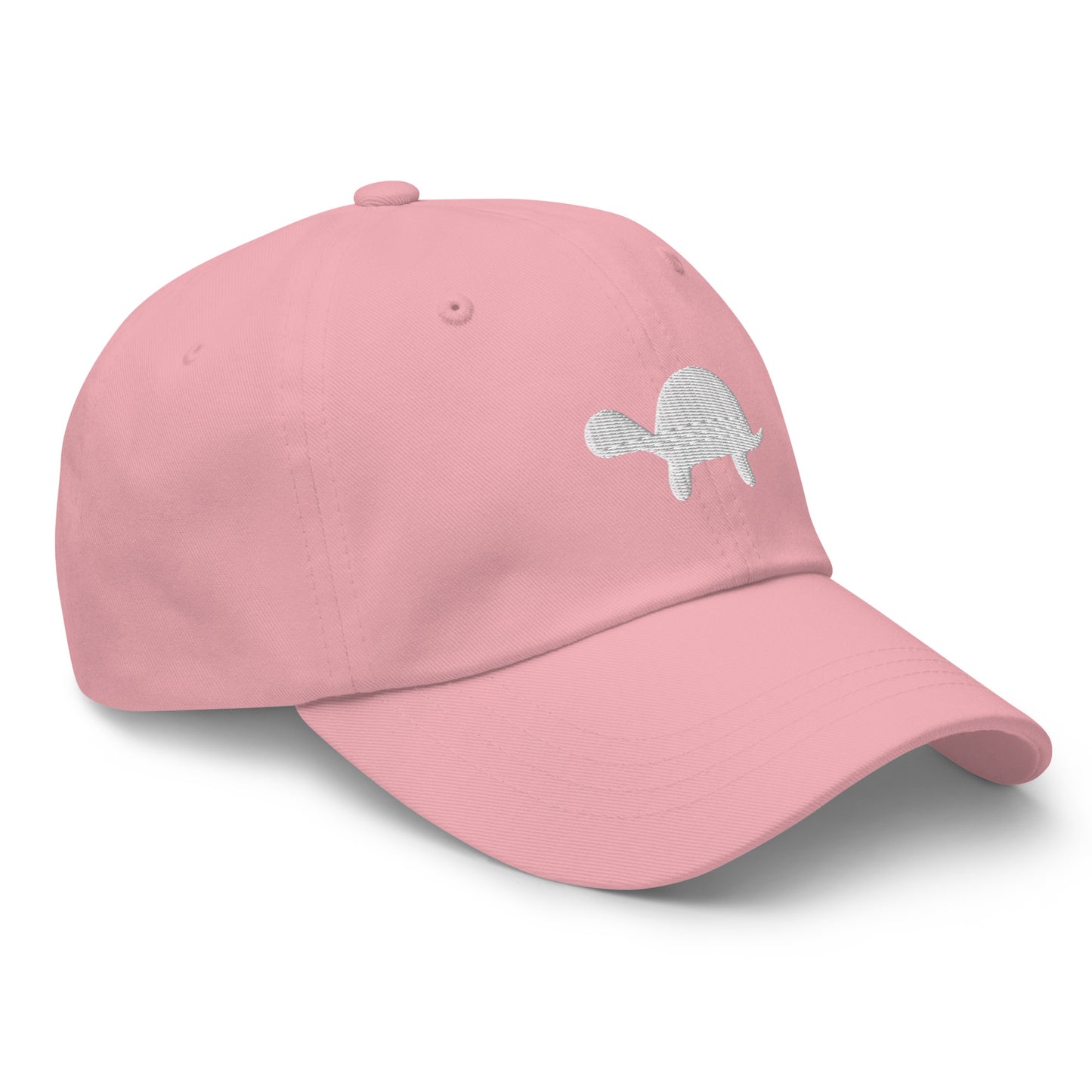 Turtle Cap