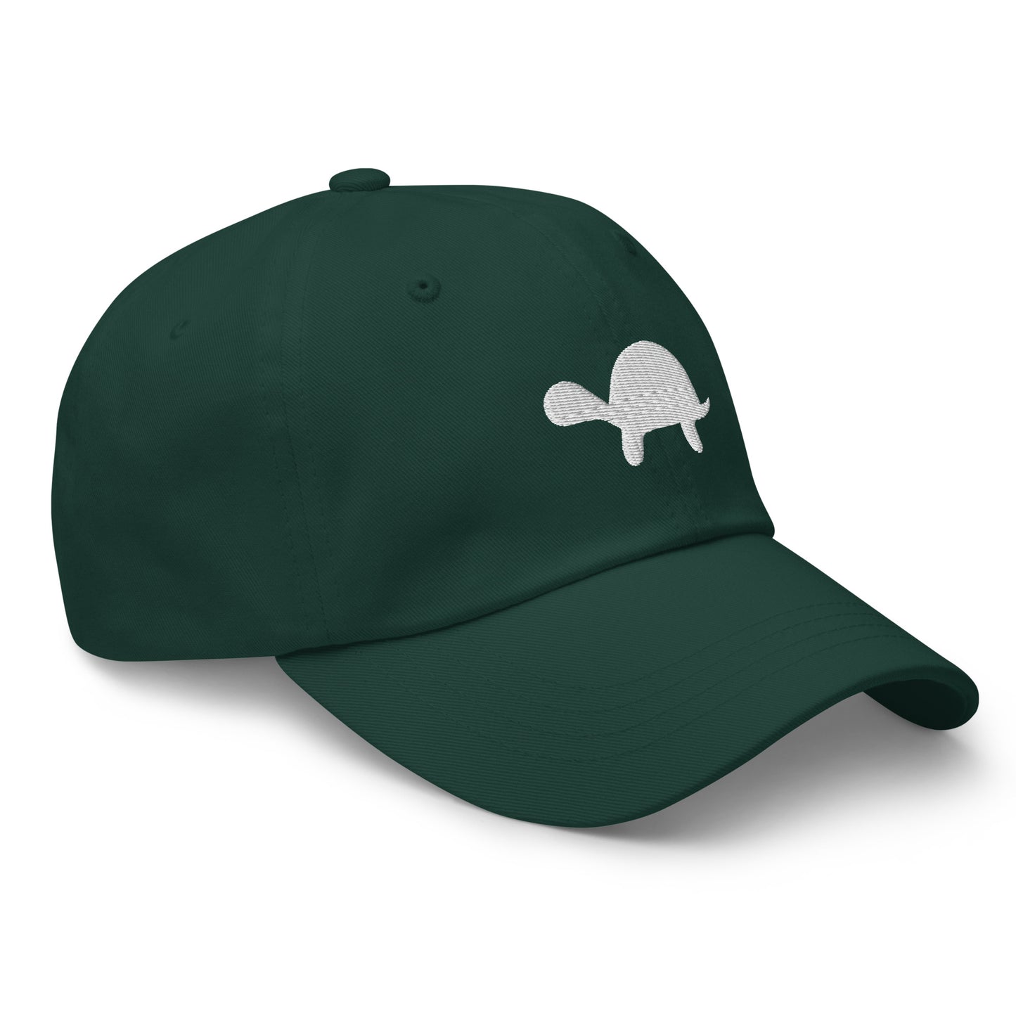 Turtle Cap