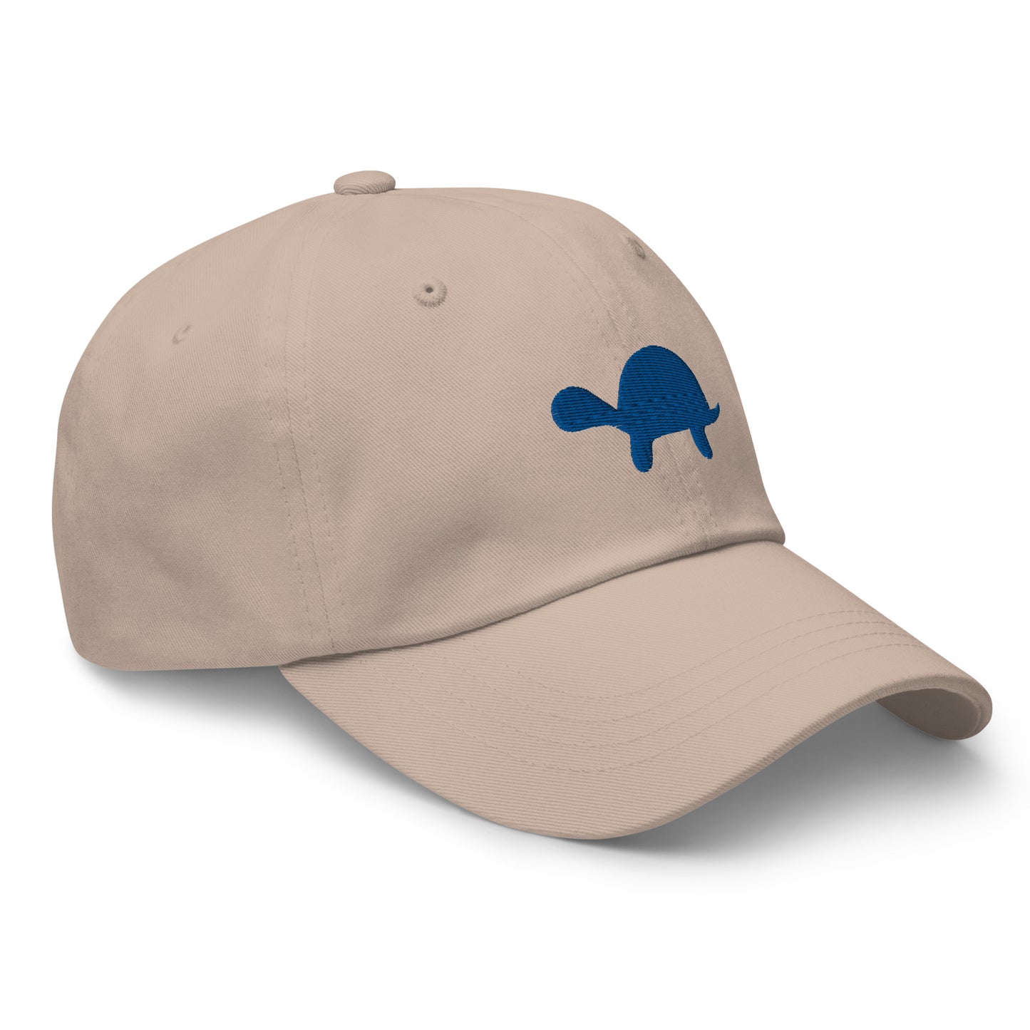 Turtle Cap