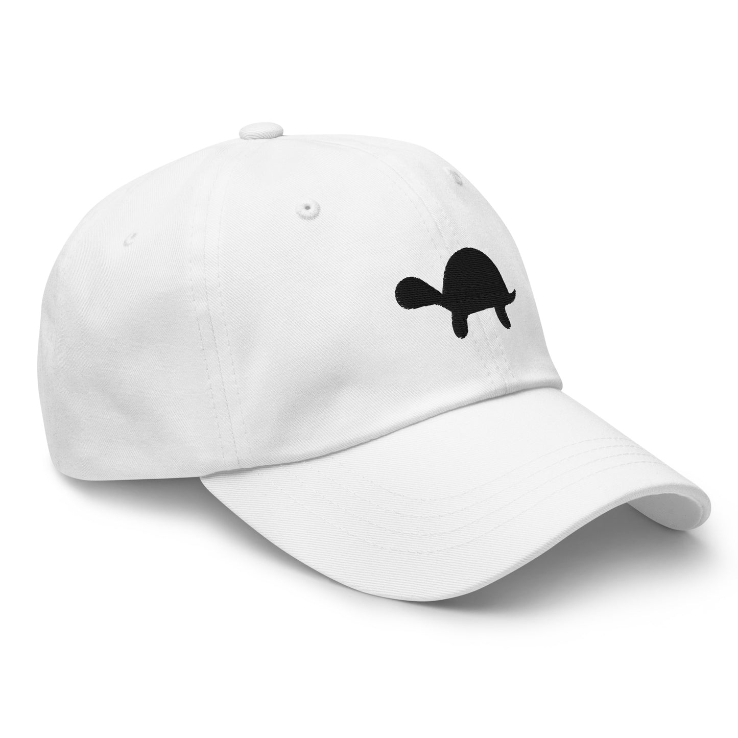 Turtle Cap