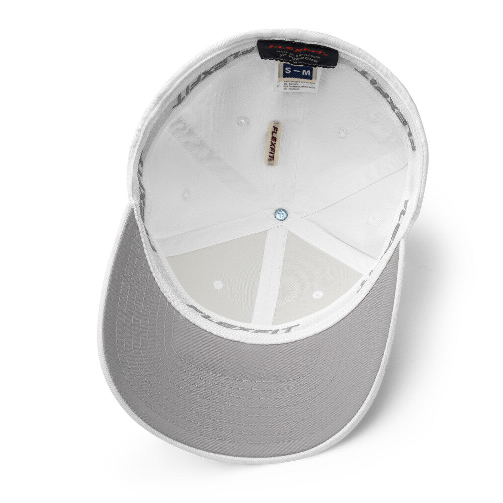 Turtle Fitted Hat