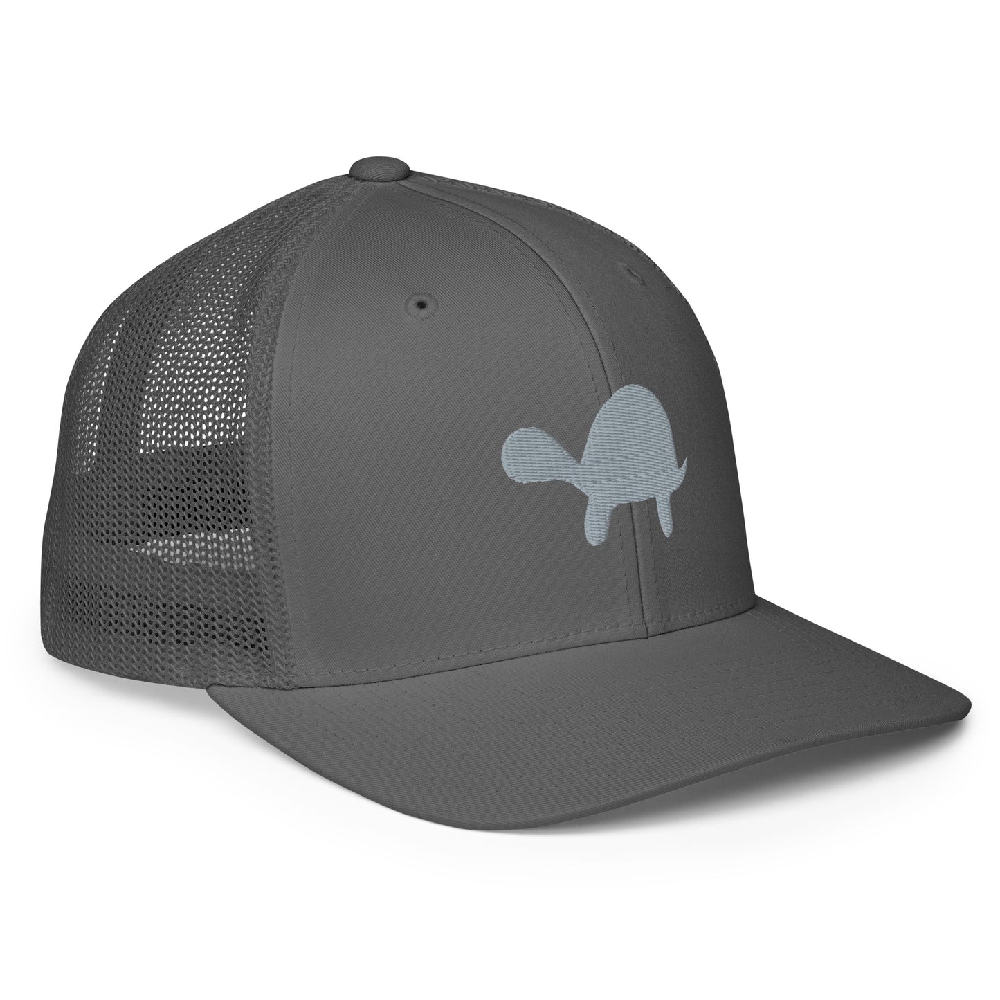Turtle Mesh Fitted Hat