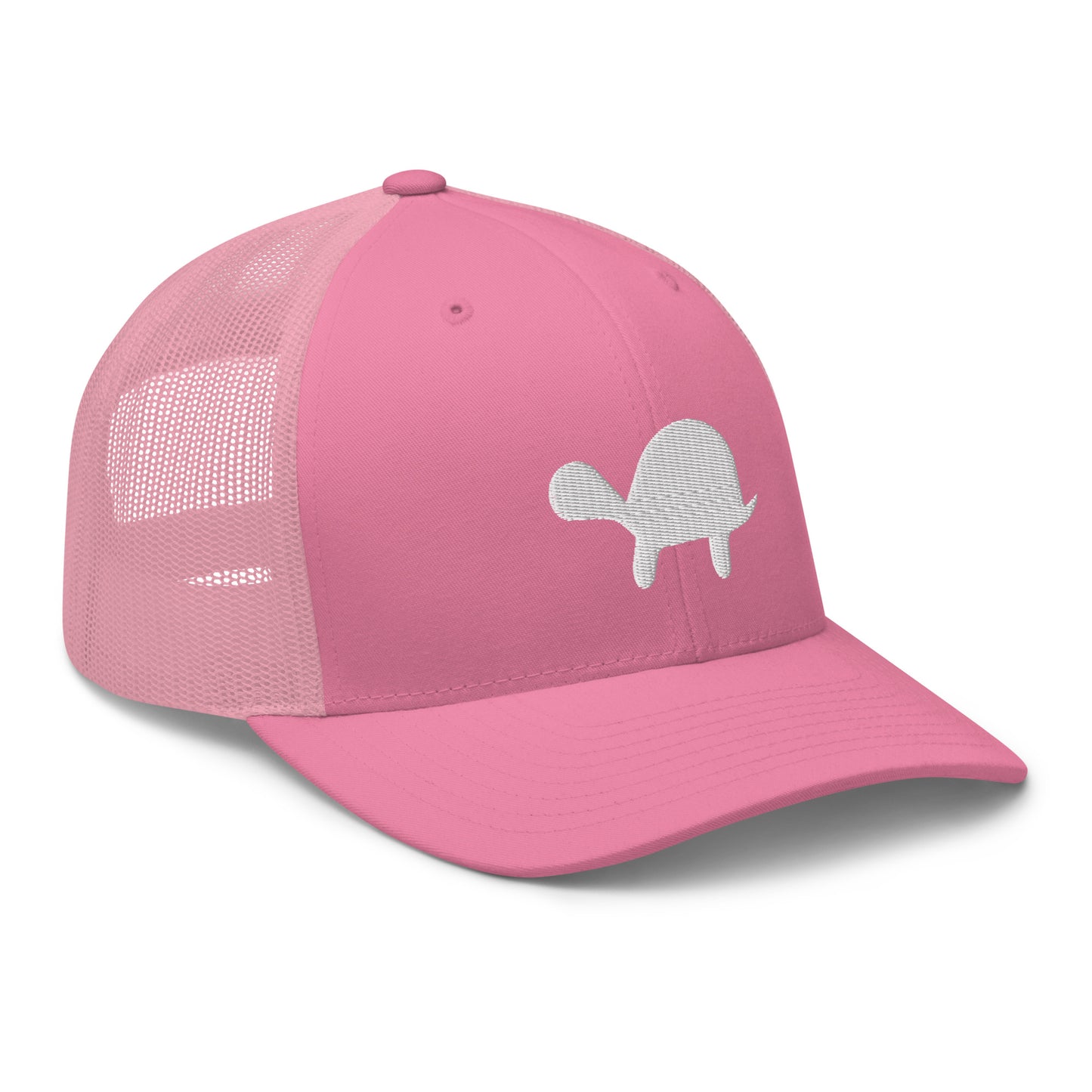 Turtle Mesh Snapback