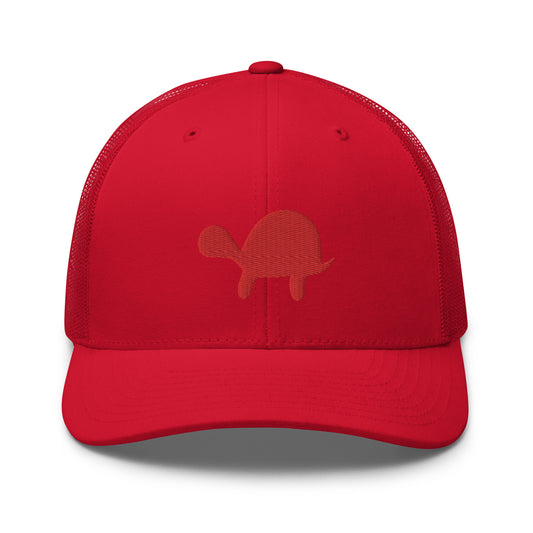Hidden Turtle Mesh Snapback