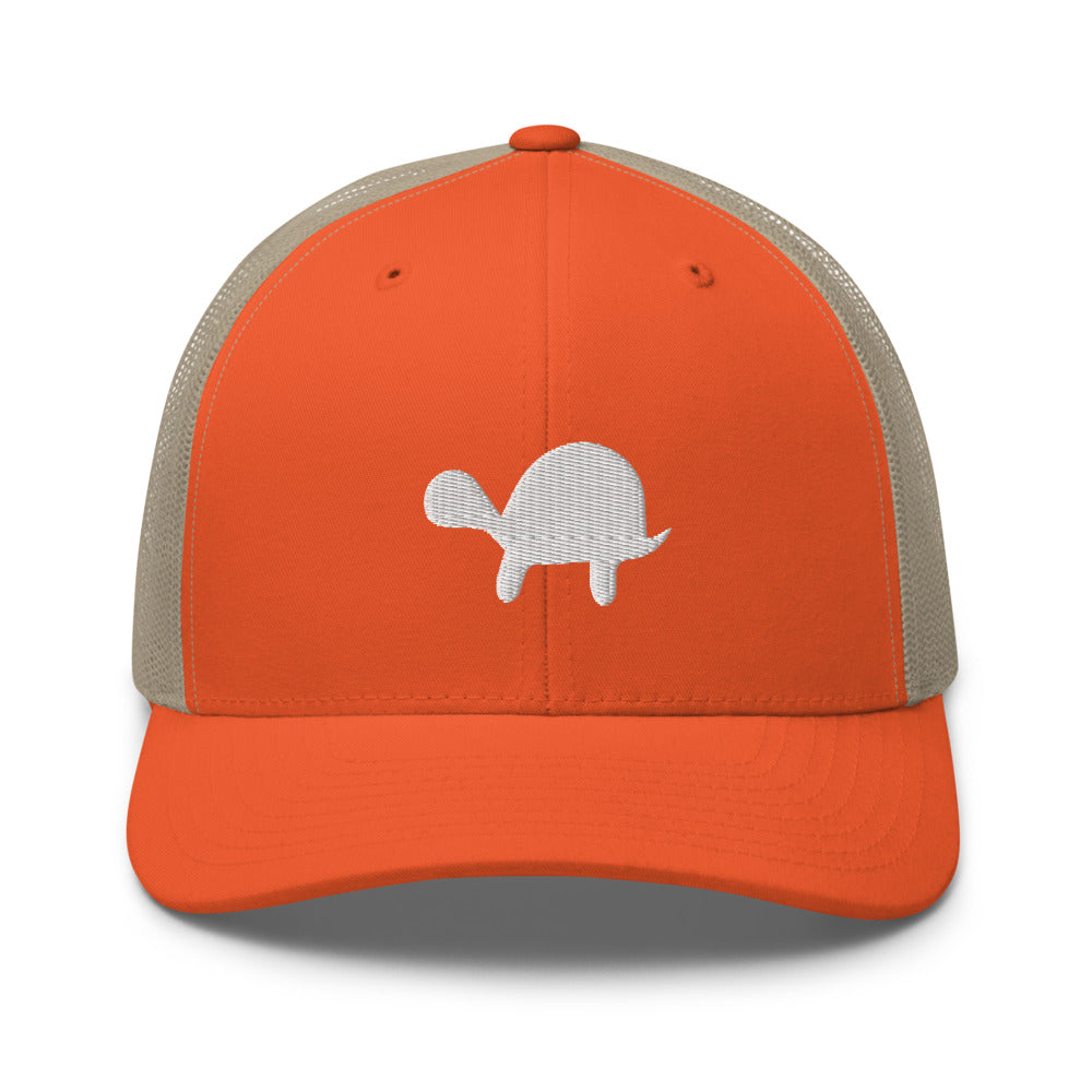Turtle Mesh Snapback